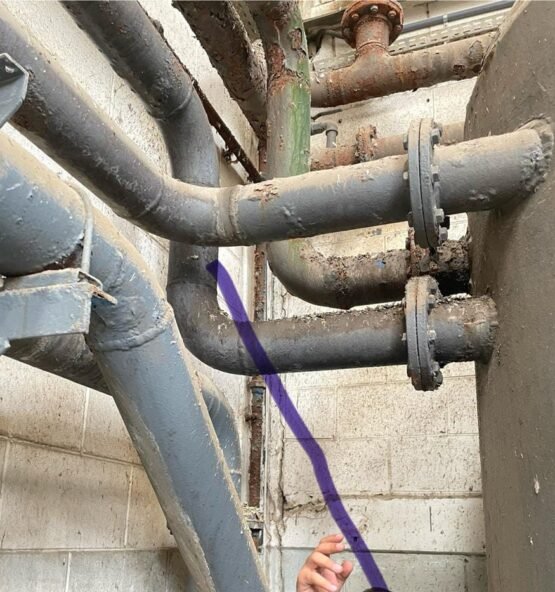 WhatsApp Image 2025-06-10 at 12.45.52 AM (3)